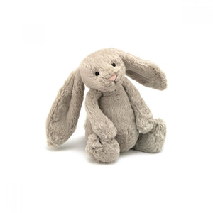 The Magic Bunny with matching book